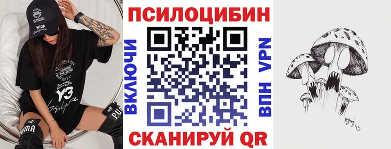 blacksprut как войти  Тырныауз  Псилоцибиновые грибы MAGIC MUSHROOMS 